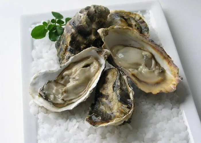 アパート La Corniche