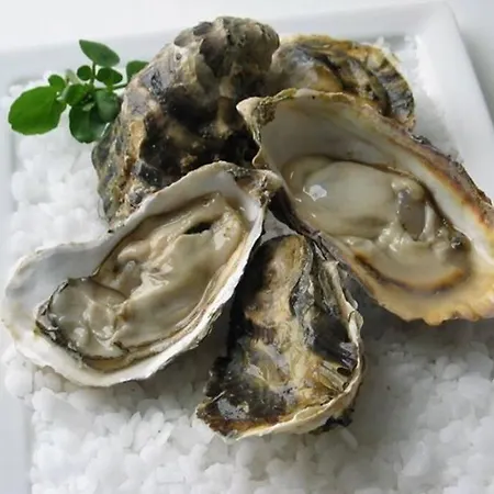 Apartment La Corniche